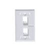 BLANCO c/Etiquetas 2-Keystone Vertical Faceplate 70x114mm - Imagen 2